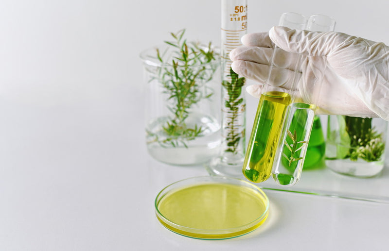 CURSO EXTRACTO DE PLANTAS EN COSMETICA NATURAL